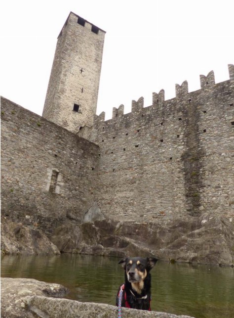 Castelgande Bellinzona: Weltkulturerbe mit Hund