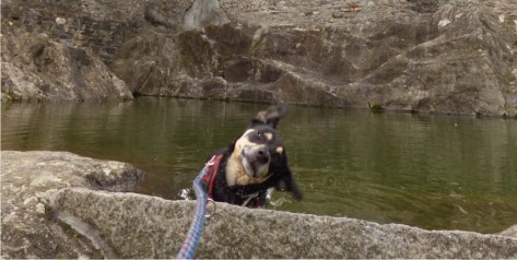 Hatte schon nach dem ersten Himmel genugt: Luis im Welterbepool