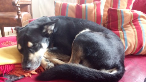 IMG-20150606-WA0001.jpeg image