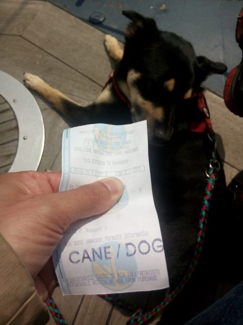 IMG_20150602_124026.jpg image