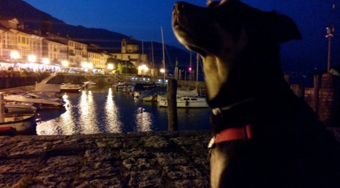 Luis‘ Jahresrückblick 2015, Teil 1