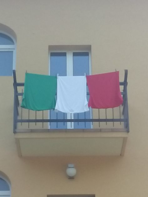 IMG_20150606_083128.jpg image