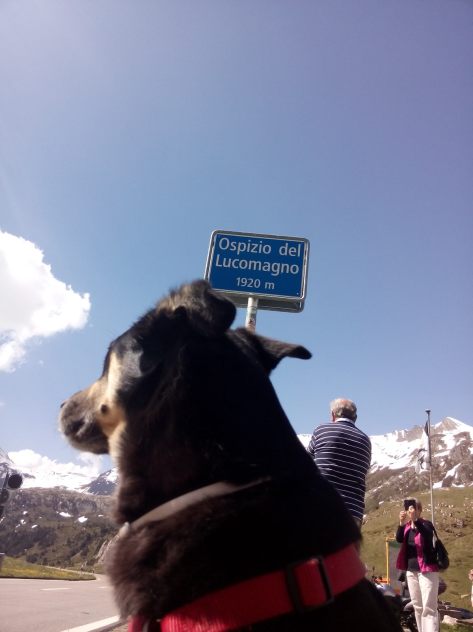 IMG_20150606_104908.jpg image