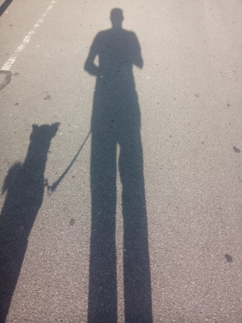 IMG_20150715_081101.jpg image