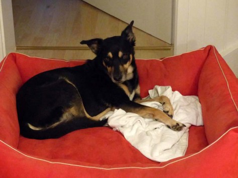 Ungläubiges Staunen: JETZT schon aufstehen?