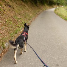 Wanderhighway aka Fake-Jakobsweg