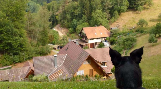Ba[h]lingen-Tour V: Jakobsweg Wolfach — Elzach