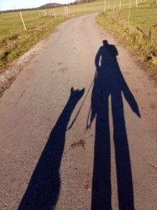 Hochalbpfad-Hossingen-44-Schattenwanderer