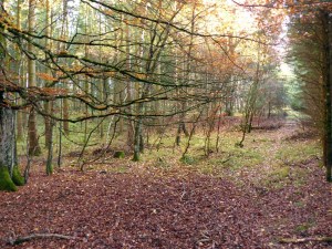 Lost in Premiumwandern