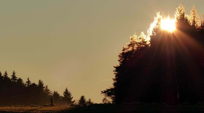 Premium-Wandern: Hochalbpfad „Hossinger Hochalb“