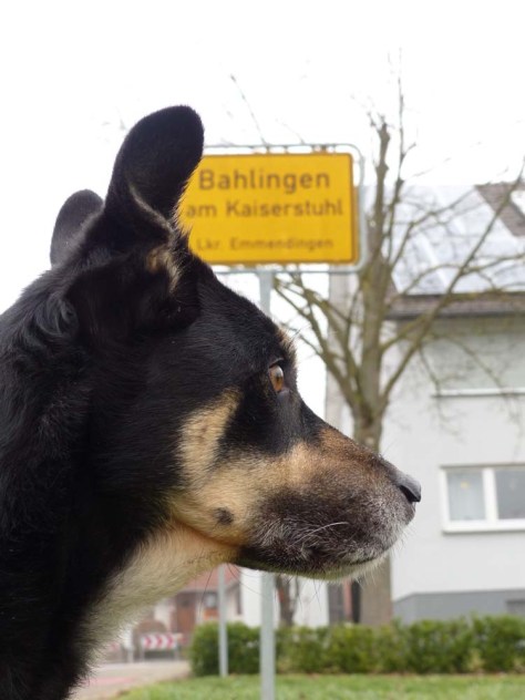 Nach 7 Etappen und 151,9 km: Mission erfüllt! Mission erfüllt!