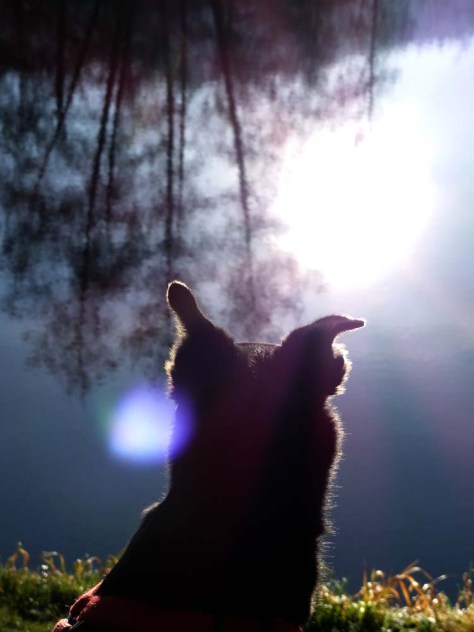 Elztalweg-24_Spieglein-Spieglein