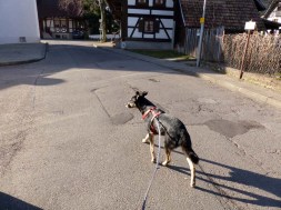 Elztalweg-57-Merkwurdige-Wegfuhrung