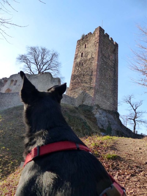 Elztalweg-63-Luis-vor-Kastelburg