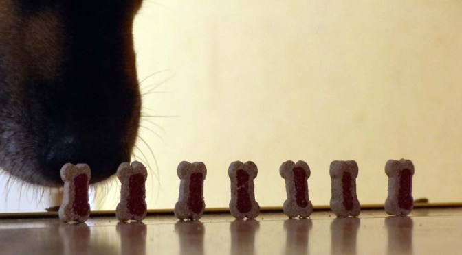 ¡Feliz cumpleaños!