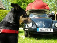 wpid-2014-04-24-11-46-07