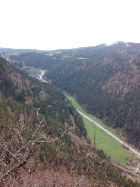 IMG_20160417_153514.jpg image