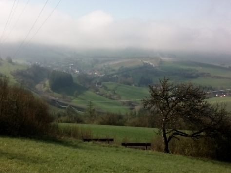 IMG_20160419_100318.jpg image