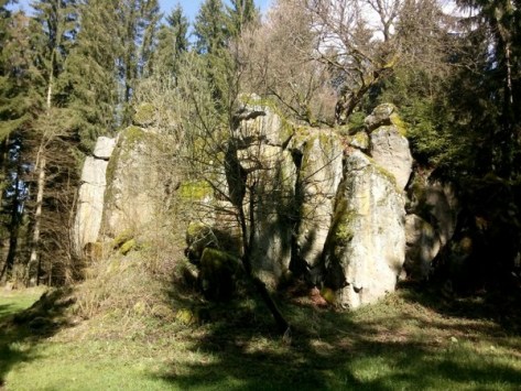 JPEG_20160421_054440.jpg image