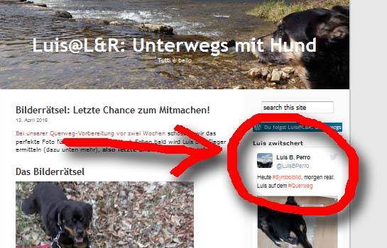 Luis zwitschert vom Querweg