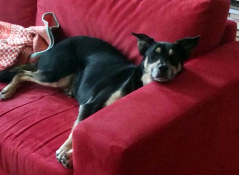 Motivationstrainer-Luis