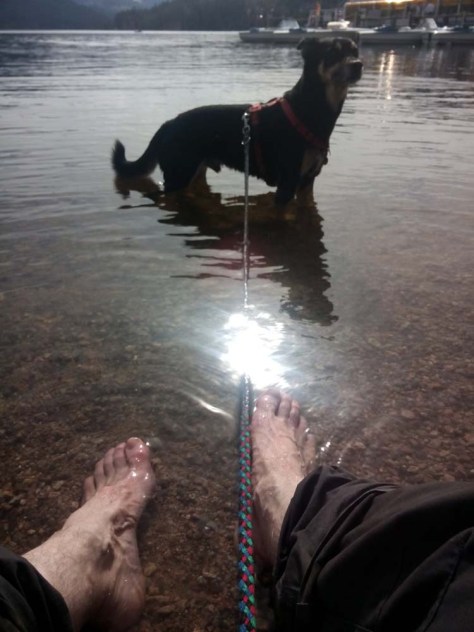 Querweg-6-Fusse-und-Pfoten-kuhlen