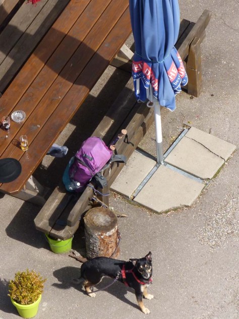 Querweg-6-Luis-nicht-auf-dem-Hochfirstturm