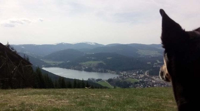 Schwarzwald-Querweg Tag 6: Schattenmühle — Hochfirst — Titisee