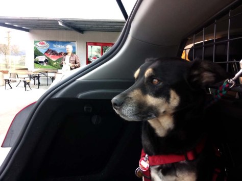 Querweg-7-Schwarzwaldhof