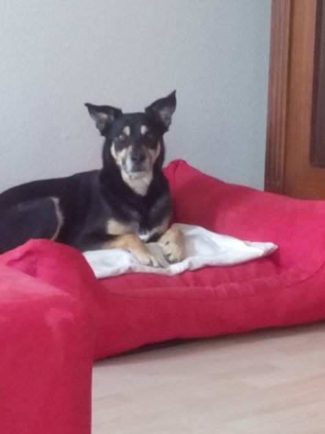 IMG_20160517_174936.jpg image