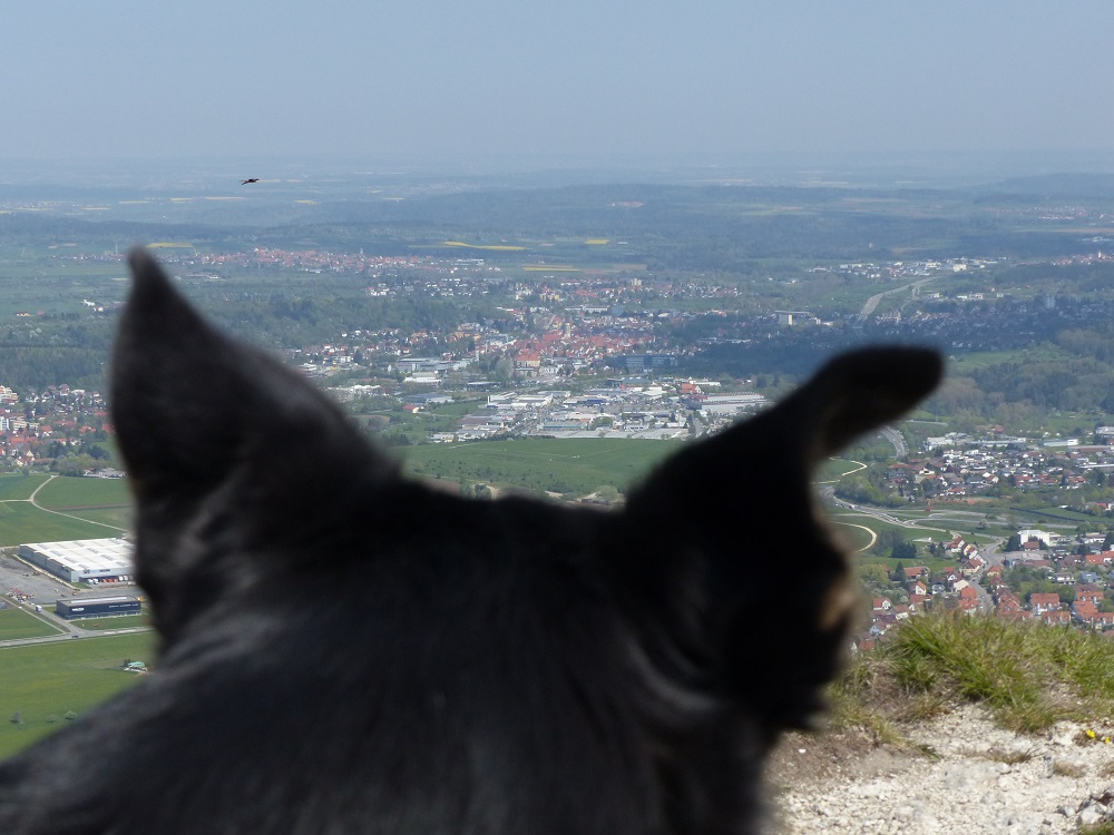 Interstuhlpfad-06-Luis-blickt-nach-Hause