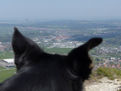 Interstuhlpfad-06-Luis-blickt-nach-Hause