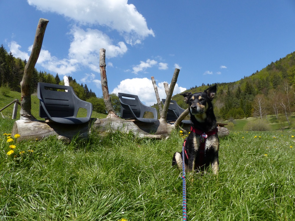 Interstuhlpfad-08-Sitz-Objekt