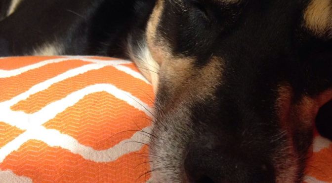 Italo-kalifornische Wochen