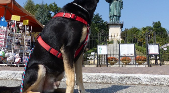 Mein rechtes Ohr juckt, bitte kratzen!