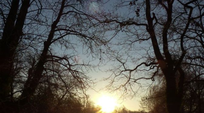 Wintermorgen im Schlosspark  Schwetzingen