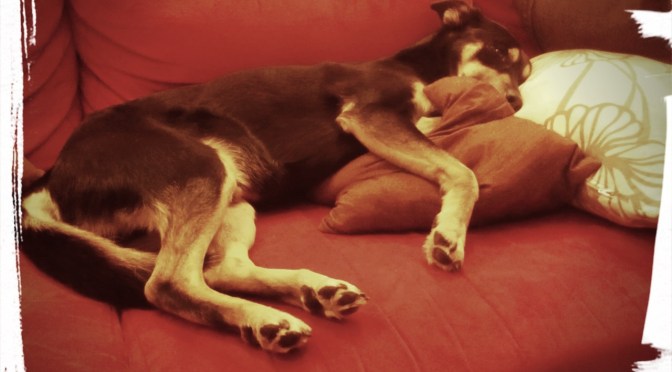 Philuisophie: Wozu es Zeit gibt