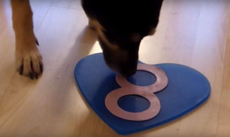 luis-achter-geburtstag-21