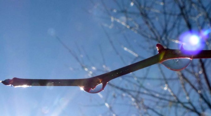 Februar-Schnee und Winter ade…