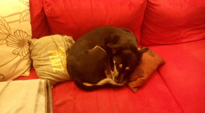 7 Wochen ohne … Sofort