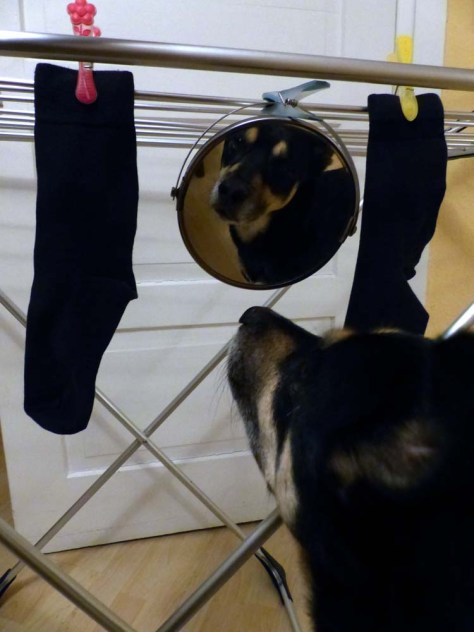 spiegel-online-symbolfoto