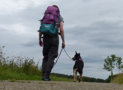 Einer-trage-des-anderen-Last