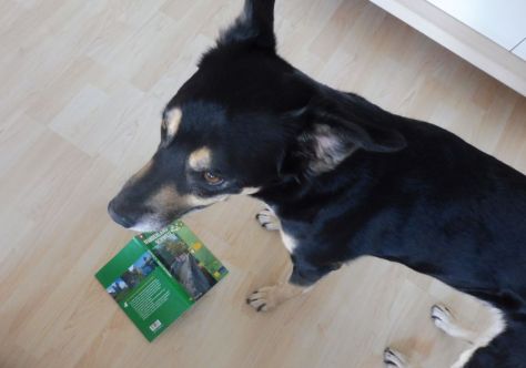 ViaJacobi-Planung-Offline-Luis1