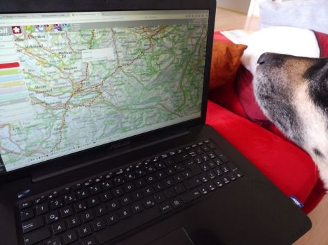 ViaJacobi-Planung-Online-Luis2