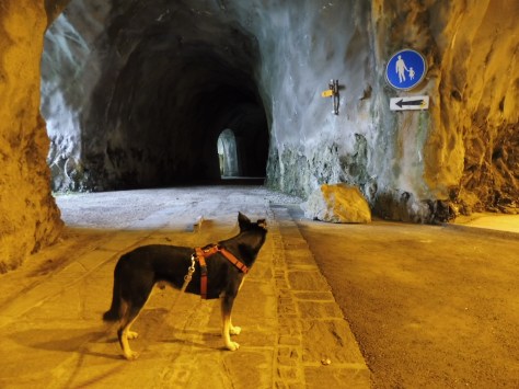 0$Images$203_103_PANAP1030137JPG