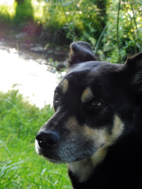 Balingen-Pliezhausen-01-02