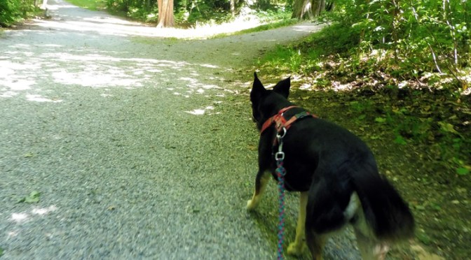 Bali — Pliezi: Es ist vollbracht!