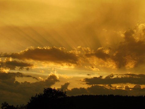 Balingen-Pliezhausen-01-52