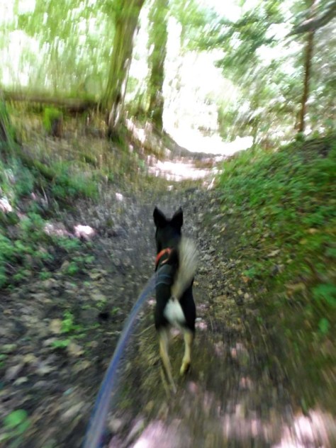 Balingen-Pliezhausen-02-32