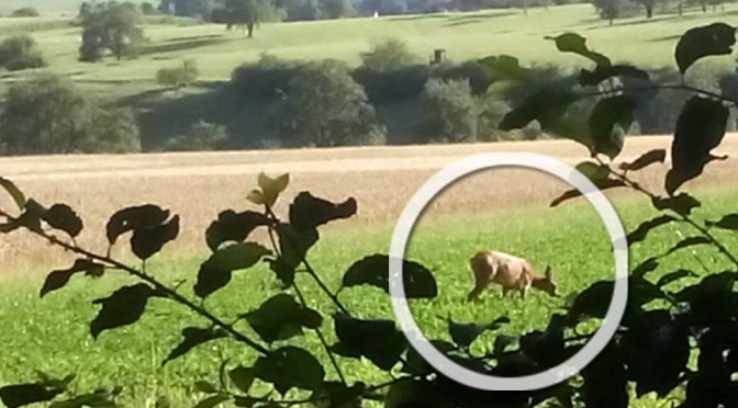 Luis, der erfolgreiche Entspannungs-Coach